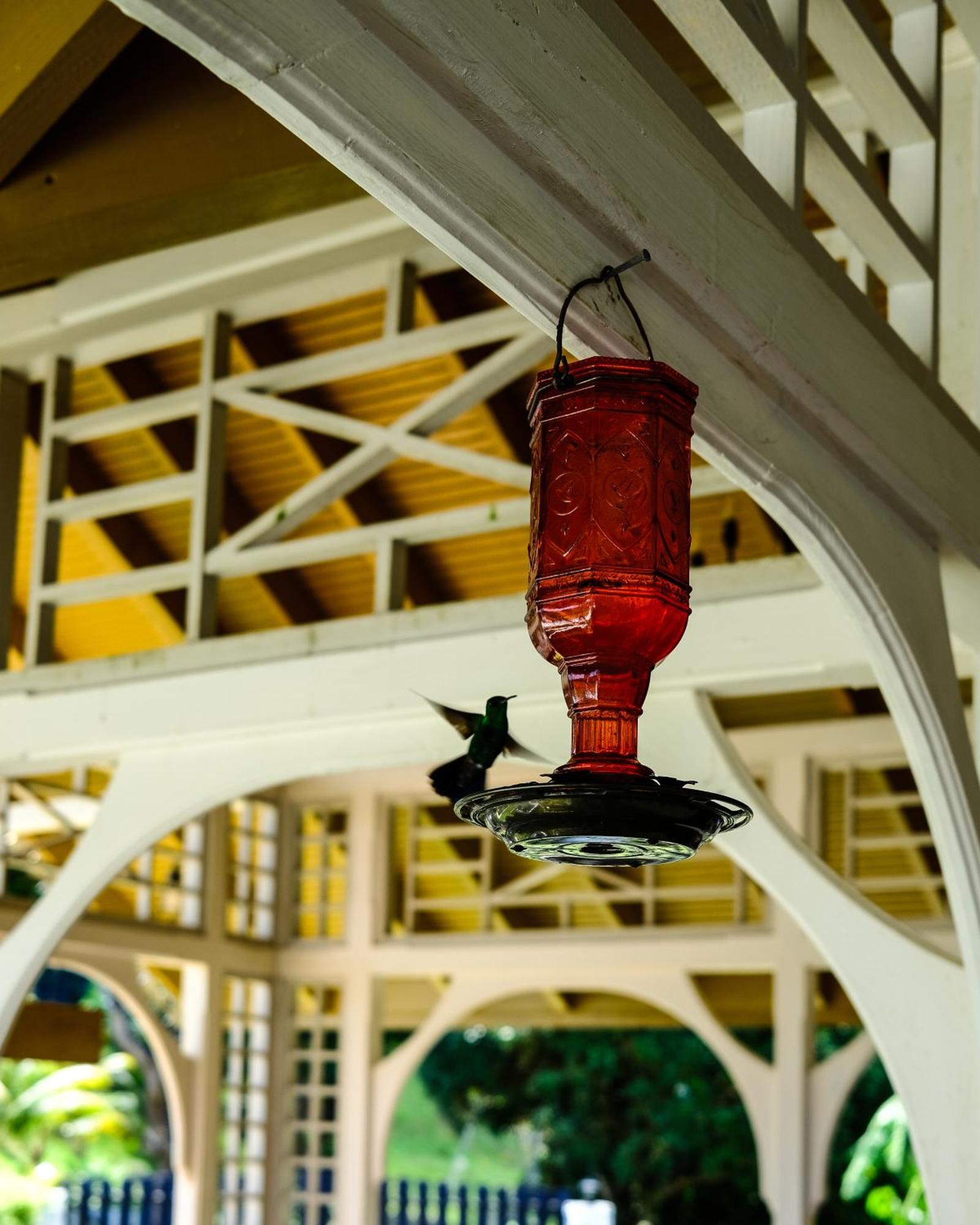 Silk Cotton Cottages Parrot Hall Bagian luar foto