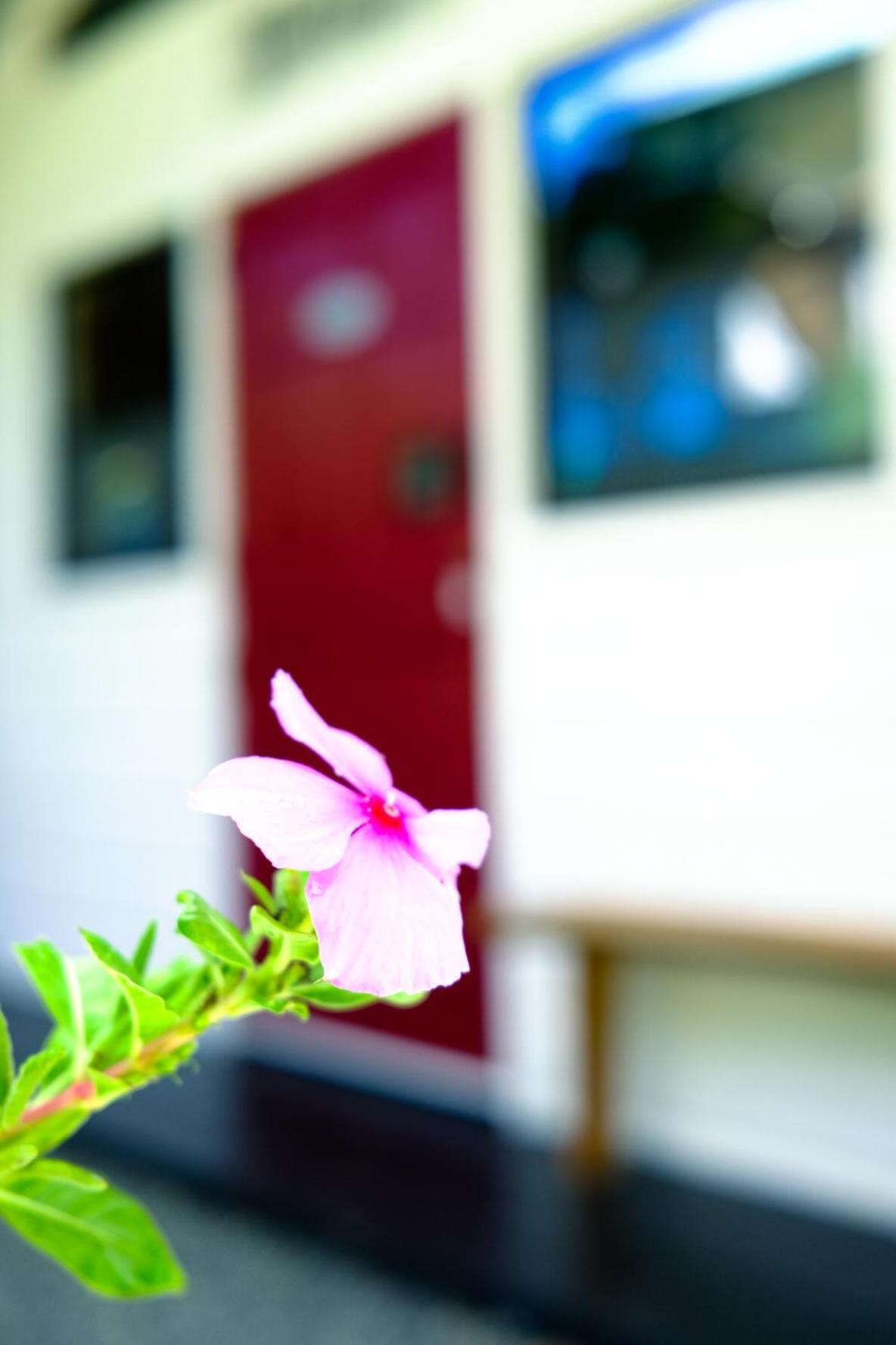 Silk Cotton Cottages Parrot Hall Bagian luar foto
